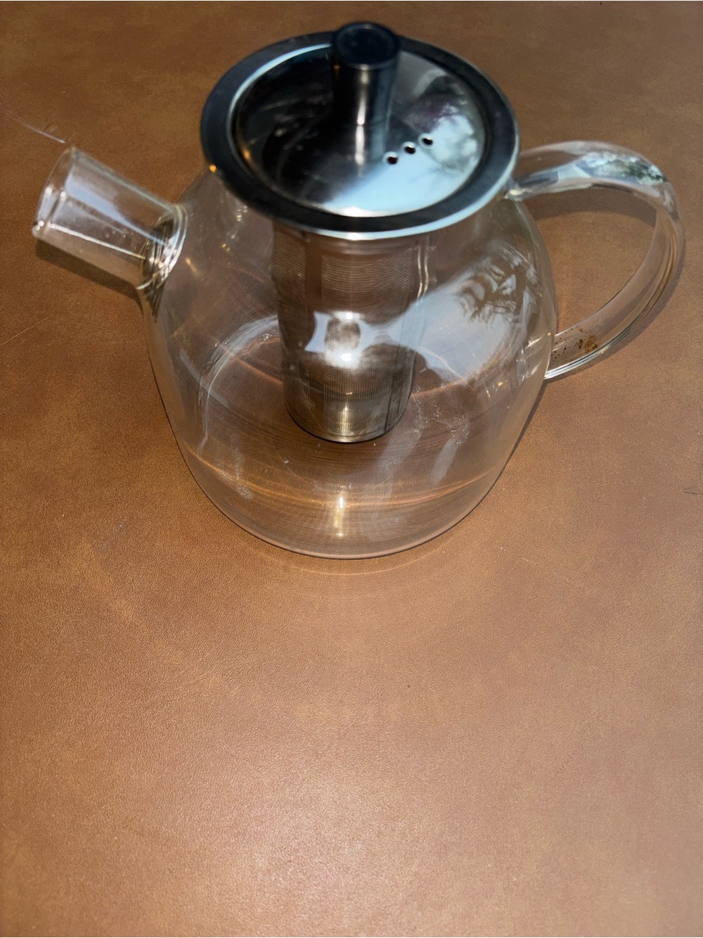 EhugoS Glass Teapot with Stainless Steel Infuser - Clear